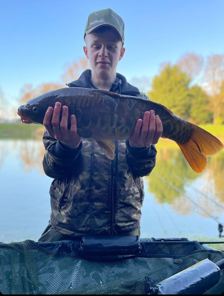 Mirror carp | Total Carp